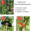 Апарат для підв'язування рослин тапенер для підв'язки степлер садовий для підв'язки степлер для городу